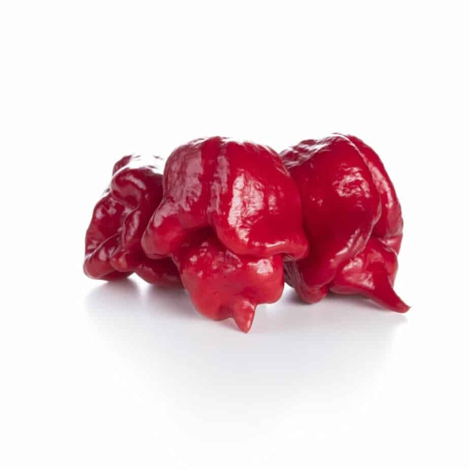 red carolina reaper