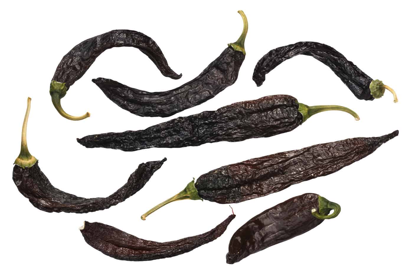 pasilla peppers