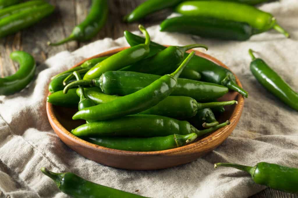 Raw Green Organic Serrano Peppers in  a Bowl