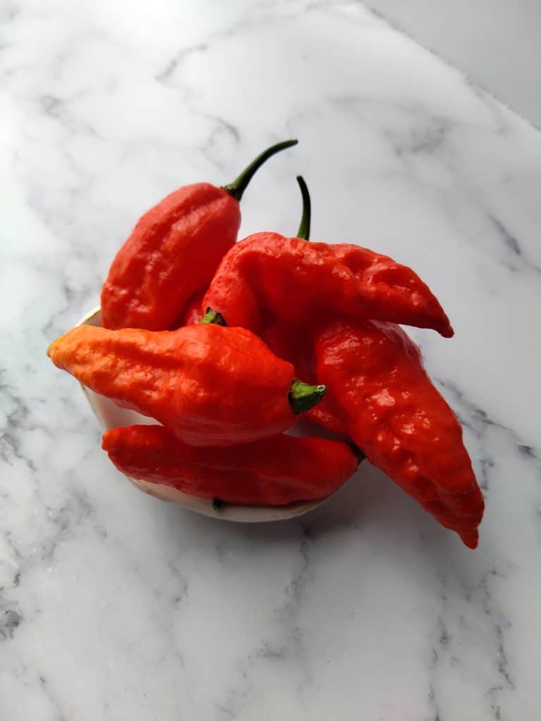 several red ghost peppers on a small dish.