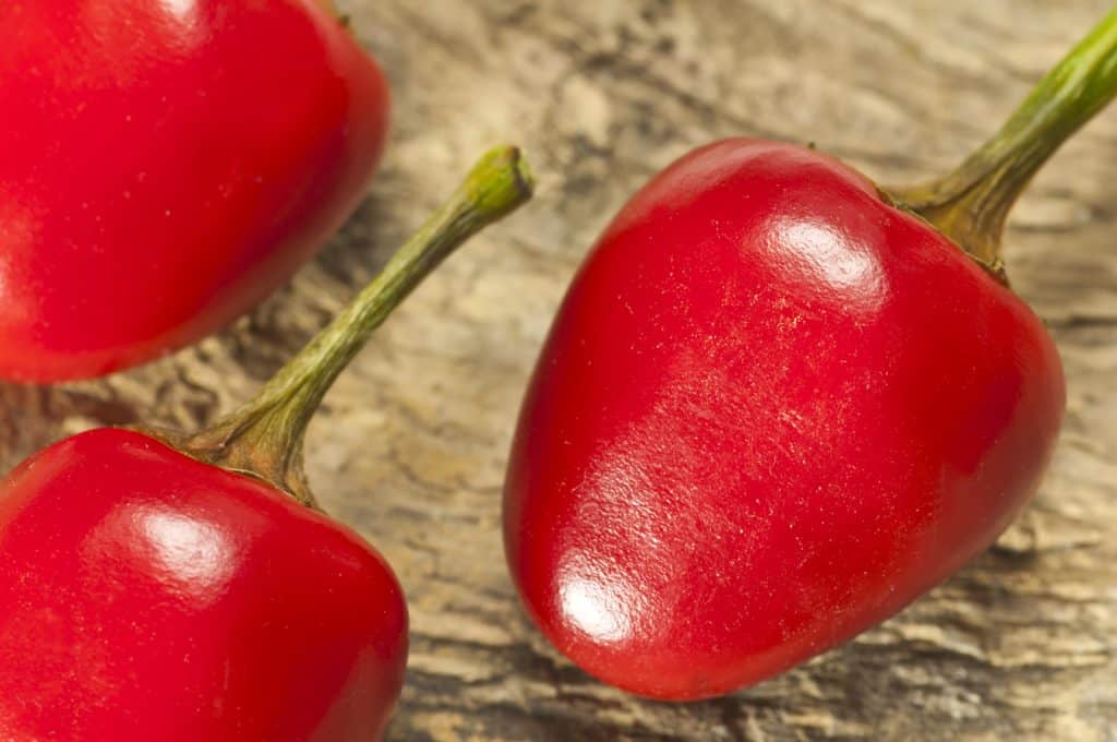 closeup of red cascabel chilis.