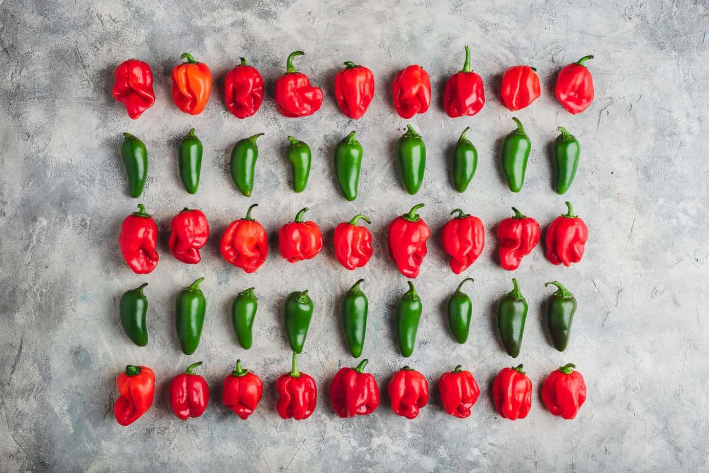 Habaneros vs. Jalapeños Comparing two of the most popular peppers
