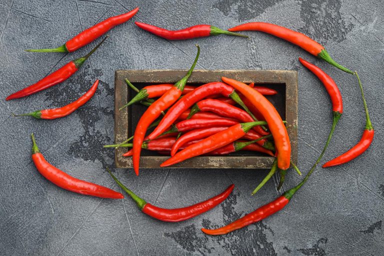 chili peppers in a rectangular box circled by more peppers