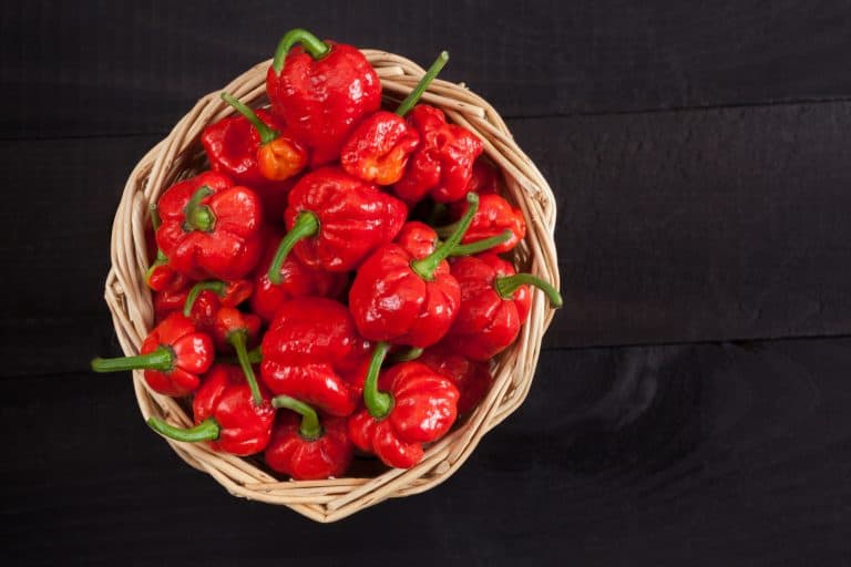 a basket of red peppers