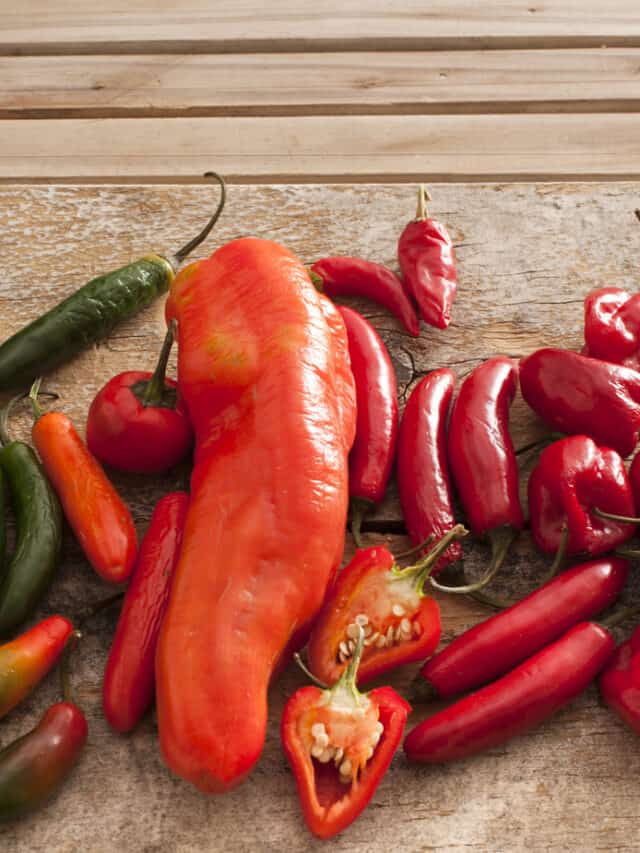 Meet the most popular red peppers in the US