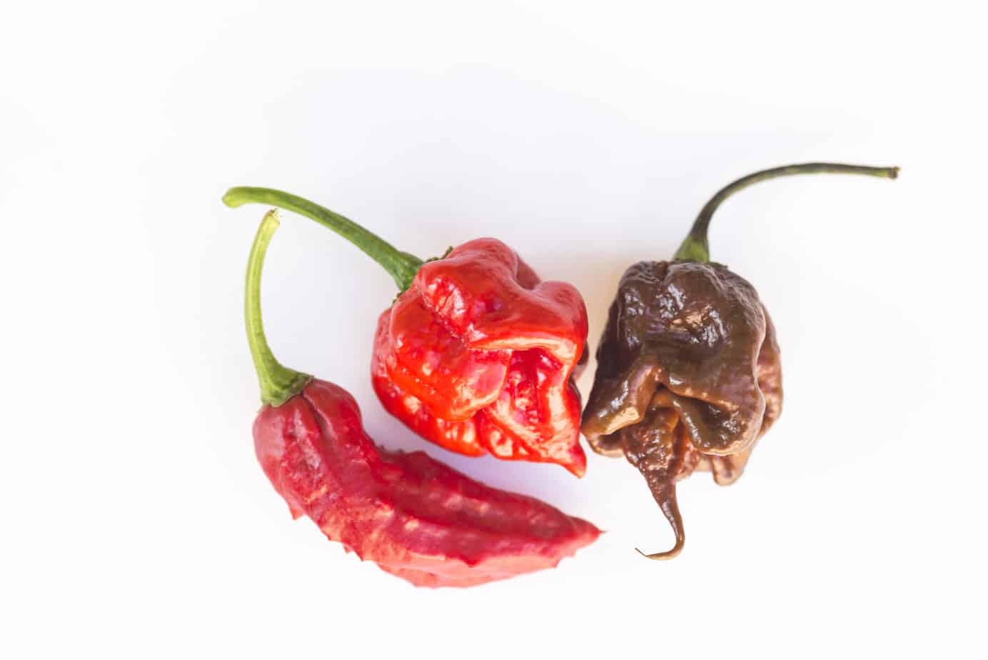 spicy hot sauce in the world