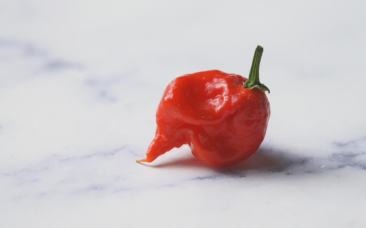 a red carolina reaper pepper