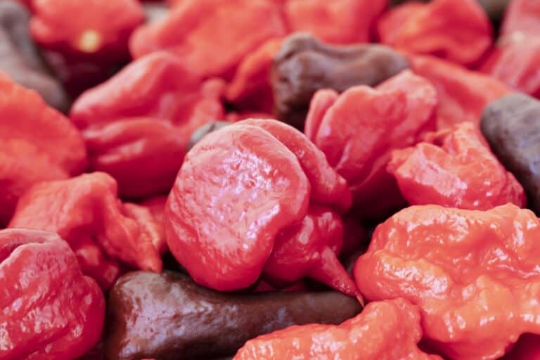 a stack of peppers in varying shades of red