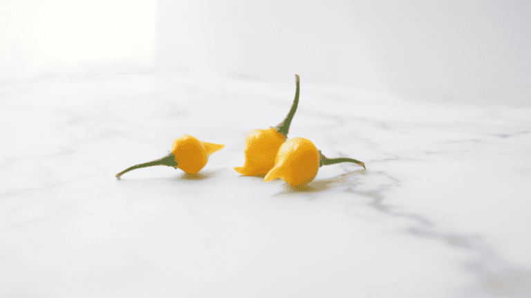 three biquinho peppers on a marble counter