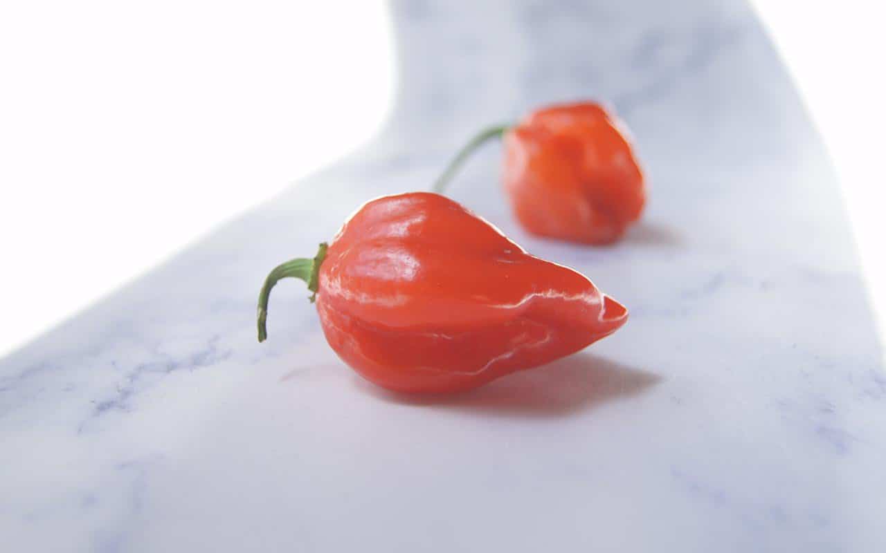 two orange habanero peppers on marble background.