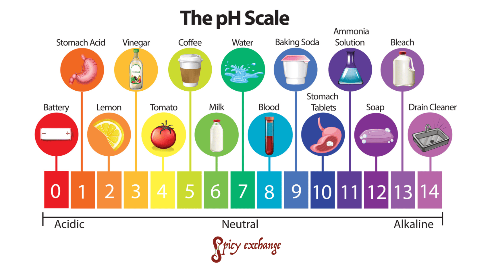 Best soil pH for peppers (+ how to test and amend your soil) Spicy
