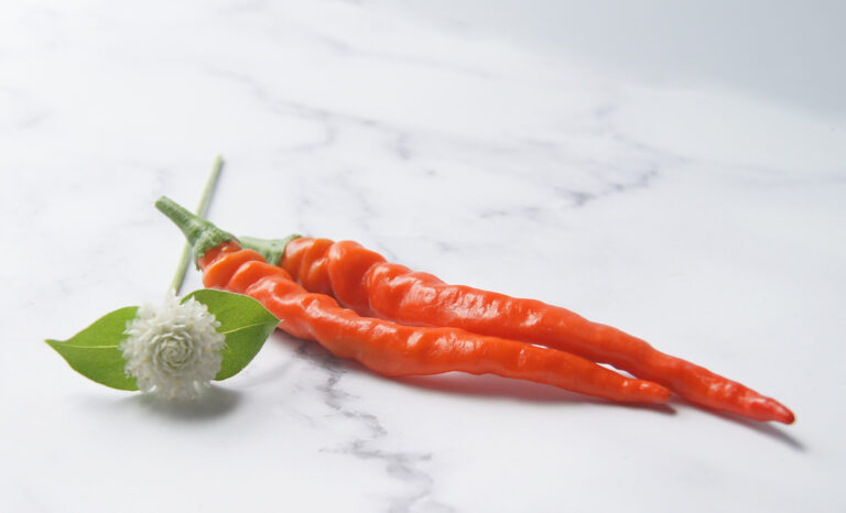 two red cayenne peppers with a white gomphrena flower