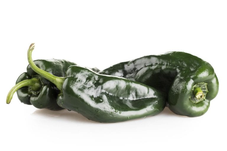 three poblano peppers on a white background.